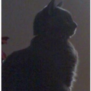 Meet your Posher, Keisha